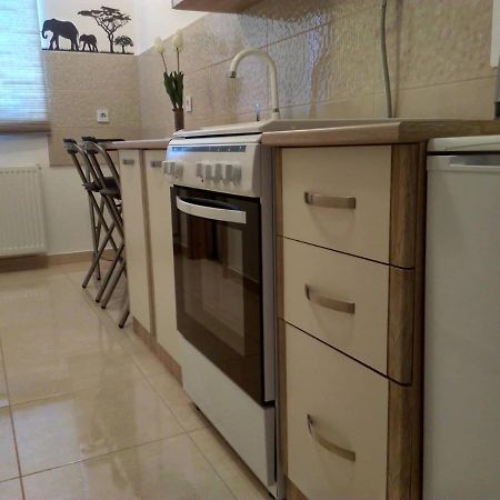 Studio Apartman Zdral Daruvar Exterior foto
