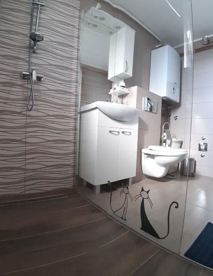 Studio Apartman Zdral Daruvar Exterior foto