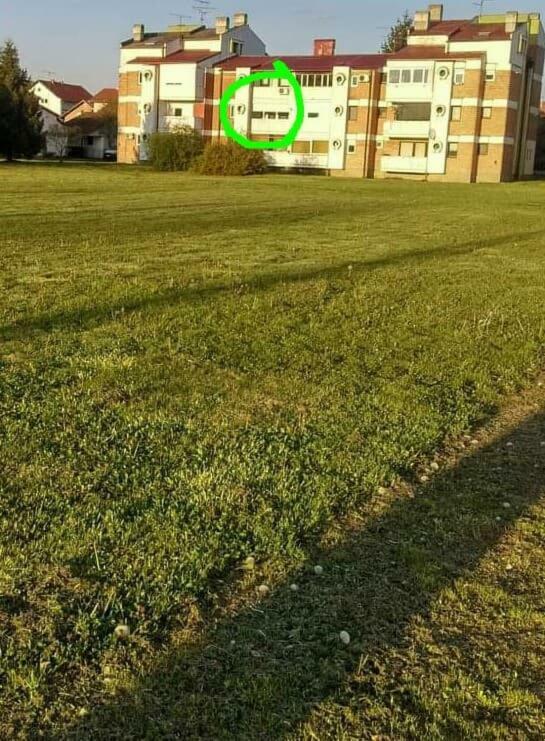 Studio Apartman Zdral Daruvar Exterior foto